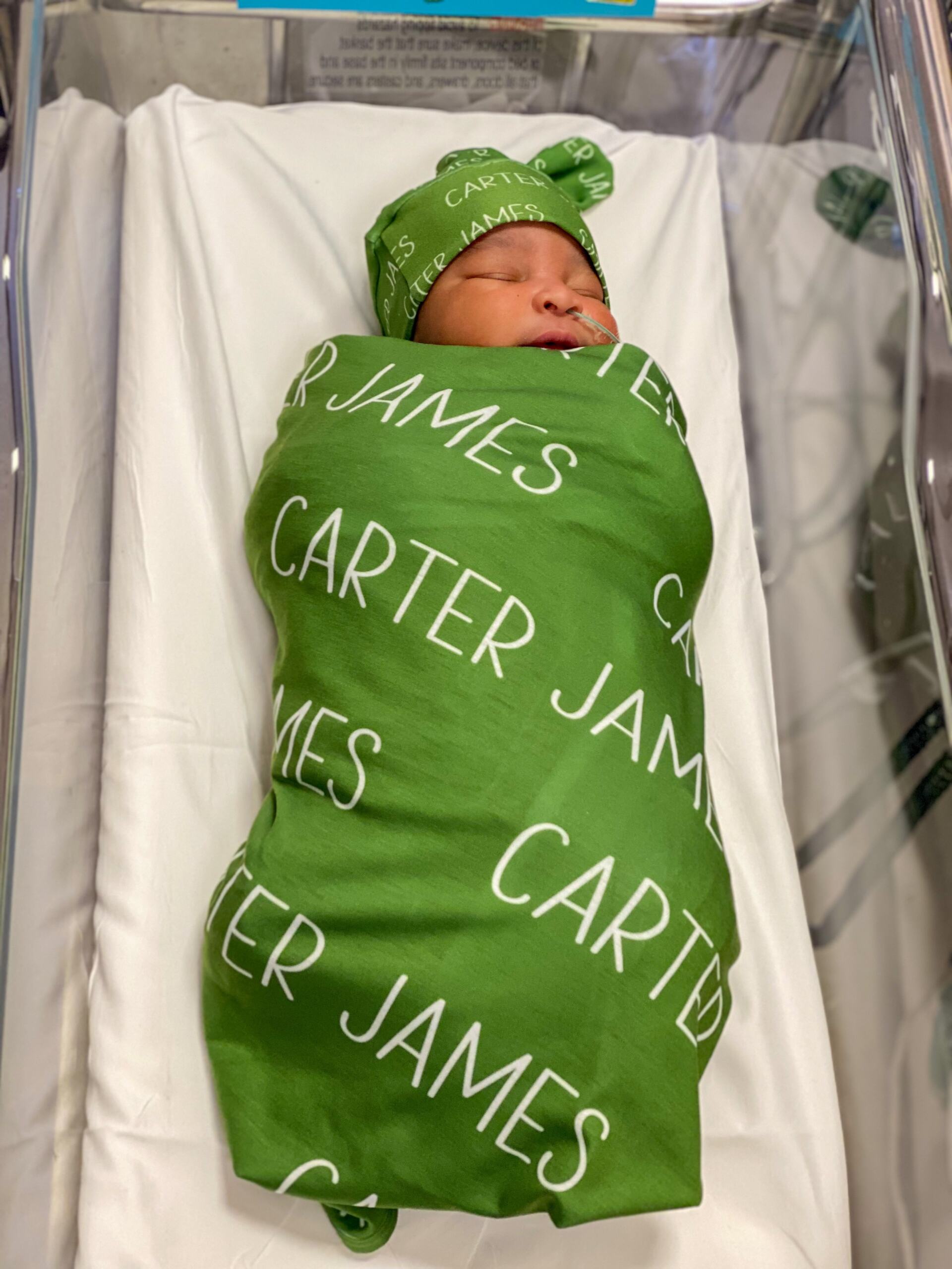 introducing-carter-james-vida-fashionista
